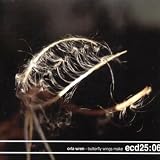 Butterfly Wings Make