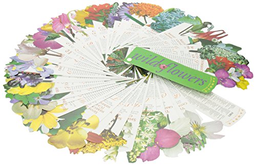 Fandex Family Field Guides: Wildflowers