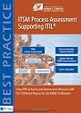ITSM Process Assessment Supporting ITIL (Best Practice (Van Haren Publishing))