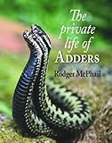 The private life of adders