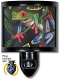 Red Eyed Tree Frog - Night Light