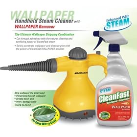 McCulloch Steam Cleaner and CleanFast Wallpaper Remover