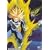 DragonBall Z: Perfect Cell Saga