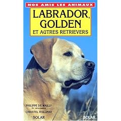 Labrador, golden et autres retrievers