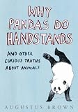 Why Pandas Do Handstands...: And Other Curious Truths About Animals