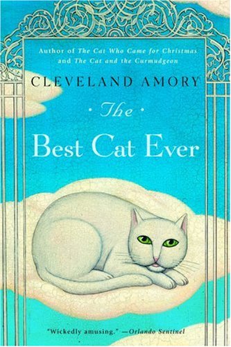 The Best Cat Ever