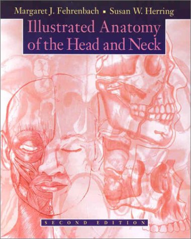 illustrated anatomy of the head and neck