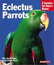 Eclectus Parrots