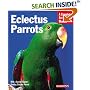 Eclectus Parrots