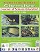 Magazines : Journal of Science Education