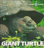 Giant Turtle