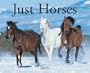 Just Horses 2005 Calendar