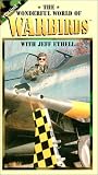 Wonderful World of Warbirds, #1 [VHS]