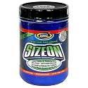 Gaspari Nutrition SizeOn Cell Volumizing Matrix, Wild Berry Punch, 2.84-Pound Jar