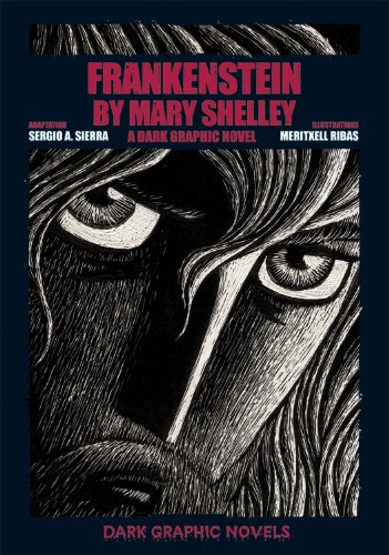 frankenstein by mary shelley a dark graphic novel dark graphic novels