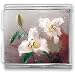 Jewelry : Pair Of Flowers Mega Italian Charms Bracelet Link