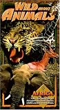 Wild About Animals: Africa [VHS]