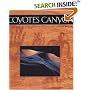 Coyote's Canyon