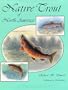 Native Trout of North America