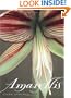 Amaryllis