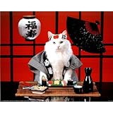 Sushi Cat (Japanese) Photo Print Poster