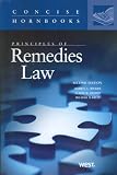Principles of Remedies Law, 2d (Concise Hornbooks)