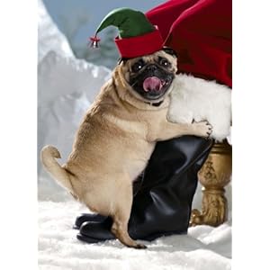 Avanti Christmas Cards, Friendly Pug, 10 Count