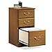 Orchard Hills Three Drawer Pedestal Carolina Oak