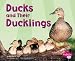 Book Ducks and Their Ducklings (Pebble Plus)