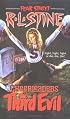 The Third Evil (Fear Street Cheerleaders, No. 3)