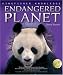 Endangered Planet (Kingfisher Knowledge)
