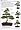 Bonsai (101 Essential Tips)