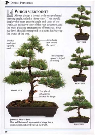 Bonsai (101 Essential Tips)