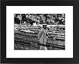 Framed Prints of Rows of empty chairs in Hyde Park, London from Mary Evans