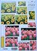 A4 3D FGS Creative Designs Stack-Its pyramid decoupage sheet - tulips and sunflowers