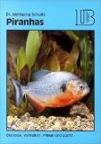 Produkt-Bild: Lehrmeister B&uuml;cherei, Piranhas