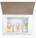 Avon today·tomorrow·always Miniatures Collection