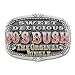 Sweet Delicious 70s Bush Pewter Belt Buckle
