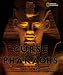 The Curse of the Pharaohs : My Adventures with Mummies (Bccb Blue Ribbon Nonfiction Book Award (Awards)) (Bccb Blue Ribbon Nonfiction Book Award (Awards))