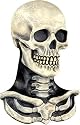 Skull and Bones Skeleton Halloween Mask
