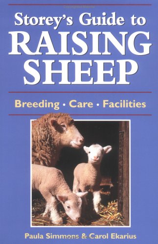 Sheep