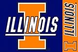 Illinois Fighting Illini 4 x 6 Area Rug