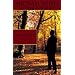 The Bloody Wood (Inspector Appleby Mystery)