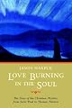 Love Burning in the Soul: The Story of Christian Mystics, from Saint Paul to Thomas Merton