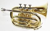 Produkt-Bild: Taschentrompete gold T-480 mit ABS Koffer. NEUWARE