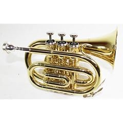 Taschentrompete gold T-480 mit ABS Koffer. NEUWARE