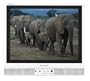 Sharp LC-13S1U-W 13-Inch AQUOS Flat-Panel LCD TV, White