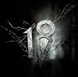 Eighteen Visions