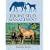 Equine Stud Management: A Textbook for Students (Allen Student): 6