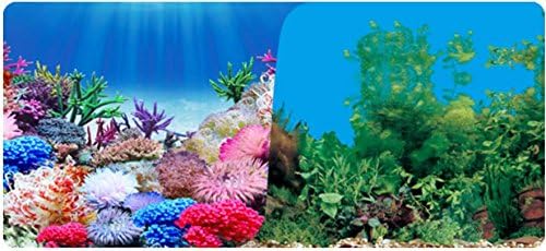 9099 20" x 48" Double Sided Fish Tank Aquarium Background Aquatic Colorful Plant/Green Grass